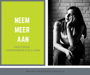 NLP vooronderstellingen