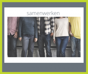 Samen werken metaprogramma NLP